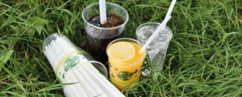 Eco-alternative barware