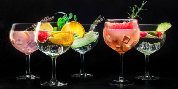 Fancy cocktails with fresh fruit. Gin and tonic drinks with ice at a party