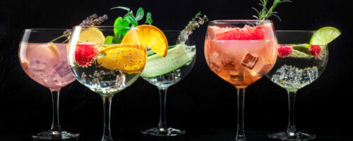 Fancy cocktails with fresh fruit. Gin and tonic drinks with ice at a party