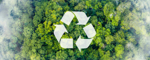 Recycle symbol on the forest background . Ecological concept. Ecology. Recycle and Zero waste symbol in the untouched jungle for Sustainable environment